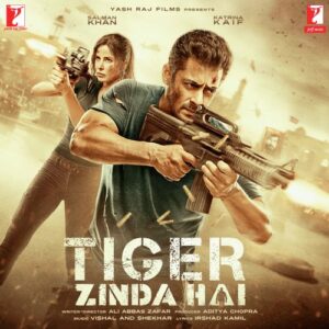 Tiger Zinda Hai Songs Download